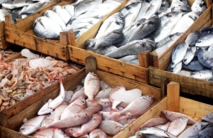 Updated seafood traceability standard released