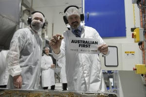 Deal with Greens passes NRF bill