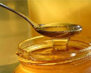 Australian honey in global food safety spotlight