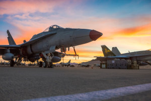 When is a Hornet a Rhino?