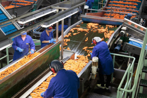 The heat on carrots