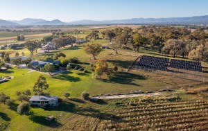 Lowe Family Wine leaves the grid with $850k solar project