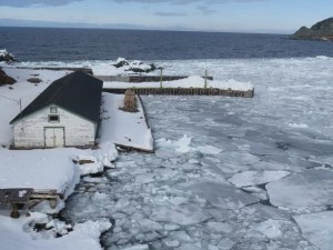 Newfoundland to Norway: an antidote to a long hot summer