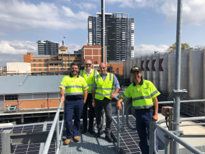 Lion moves on carbon neutral future