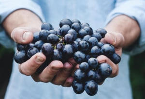 A modern approach to certification 