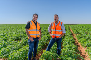 Mitolo Family Farms appoints CCO