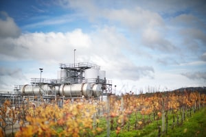 Brown Family Wine achieves SWA certification 