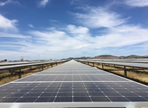 Kellogg's agrees to solar power in NSW