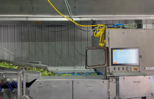 Compass optical sorter receives leafy upgrade