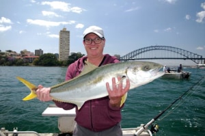 Return of the Sydney kingfish