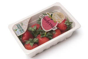 KM Packaging opens business in Australia