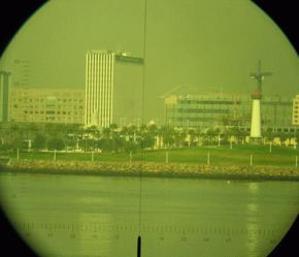 I am the (Dutch) Walrus