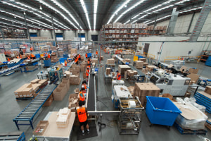 LJM teams up with Kiwi brand activation firm Hoop