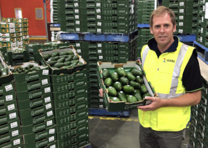 Data enhancing the supply chain