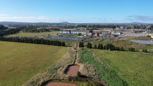 McCain Foods Ballarat sustainability success