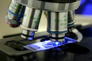 Rapid H1N1 diagnosis with Banksia
