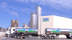 MG cuts milk price and profit forecasts