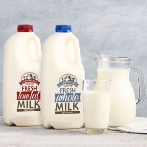Camperdown Dairy suspends exports to China