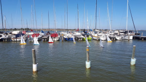 Strong turnout for Goolwa Week's radio yacht regatta