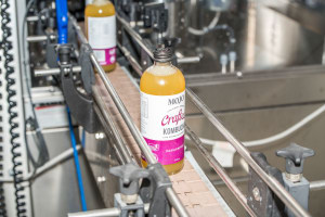 Coca-Cola buys Mojo kombucha 