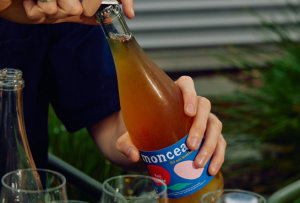 NoLo Monceau Co cheers $850k seed funding 