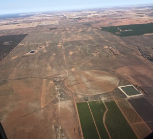 Costa Group acquires Murray River Organics citrus, wine assets for $4.5m