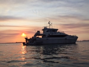 Recovery operation underway for man missing in the Coral Sea (Cato Reef) out from Yeppoon