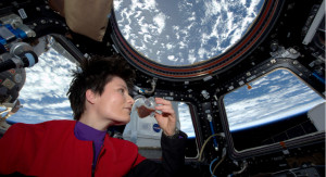  Red wine and the red planet