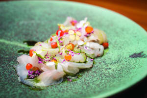 Native food project to aid indigenous Australians