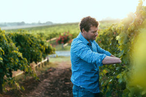 Angove Family takes gold in Organic Wine Awards