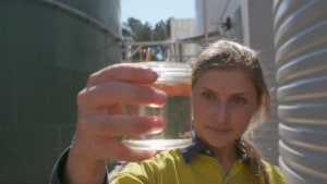 Nestlé’s 45m litre water savings at Gympie plant