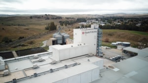 $90m Purina plant purrs into action