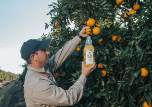 NSW gov grants Grove Juice $2.5m for new bottling line