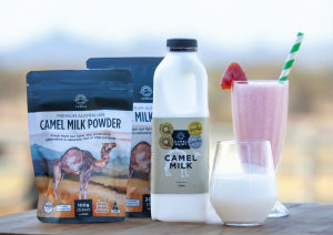 Summer Land Camels crowdfunds for US expansion