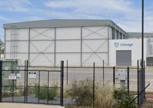 Lineage, Flinders Port Holdings tackle fruit export challenges