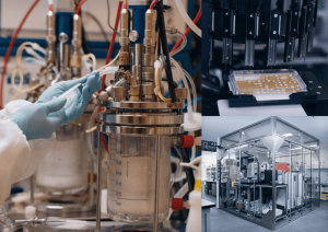 NSW govt launches $20m tech commercialisation fund 