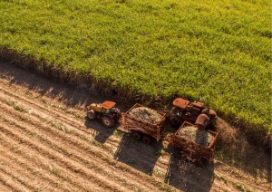 QLD govt invests $30m for agtech innovation 