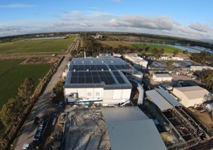Greenham Tongala abattoir now fully operational