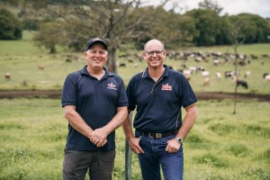 Christmas Day bonus for Norco farmers 