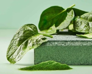 Plant power: Nutri V launches