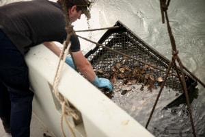 Oceanfarmr helps jump blue economy hurdles