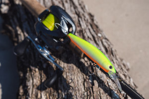 How to use jerkbaits for flathead