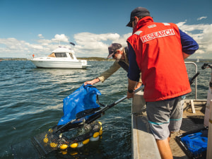 ENVIRONMENT: What happened to NSW&rsquo;s Fisheries Management Strategies?