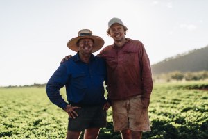 Peanut popularity: A legume on the rise