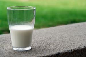 UHT milk study sheds light on Alzheimer's