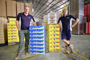 OjiFS opens new Mildura plant, brings wax-free boxes to market
