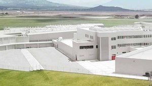 Seven signs of a smart meat factory