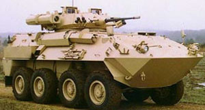 More Piranhas on land