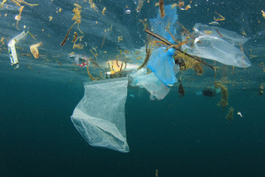 Plastic treaty at crossroads: WWF calls for Australian leadership