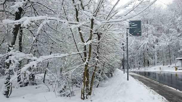 From the 2015 Prix de Lausanne